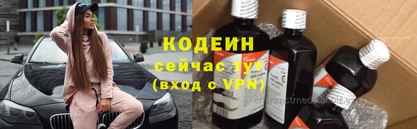 крисы Абаза