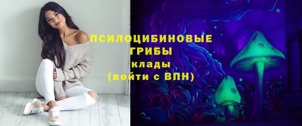 винт Алексеевка