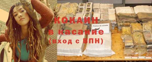 сатива Абинск