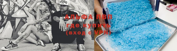сатива Абинск