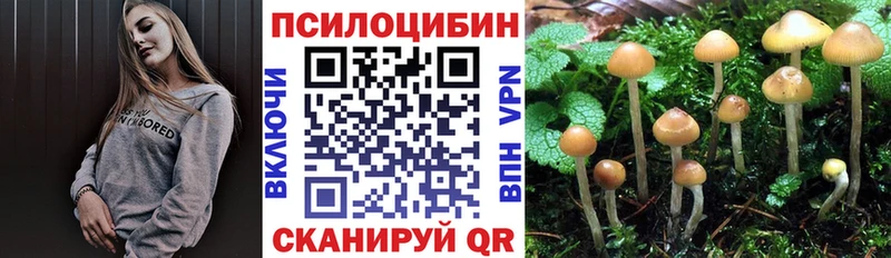 купить закладку  omg вход  Псилоцибиновые грибы Cubensis  Вышний Волочёк 